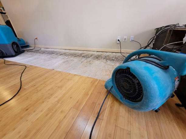 Professional Structural Drying technician working in Masonic Home, KY
